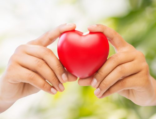 24220945 - health and charity concept - close up of woman hands holding heart